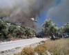 images/competaincendio/incendio32.jpg